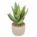 Plante artificielle Aloe Vera Vert 32 cm | Belle Verdure