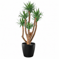 Plante artificielle Agave Multitroncs 72 cm | Belle Verdure