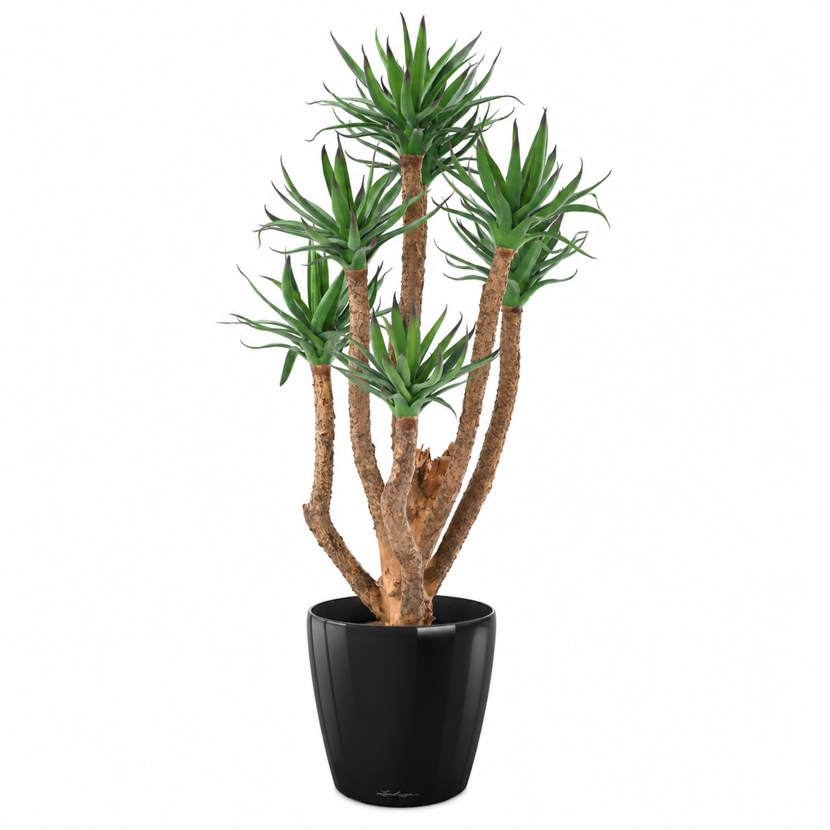 Plante artificielle Agave Multitroncs 72 cm | Belle Verdure