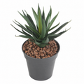 Plante artificielle Agave Vert 20 cm | Belle Verdure