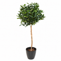 Laurier Artificiel Lusitanica sur Tige 140 cm | Belle Verdure