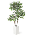 Ficus Altissima Artificiel 150cm