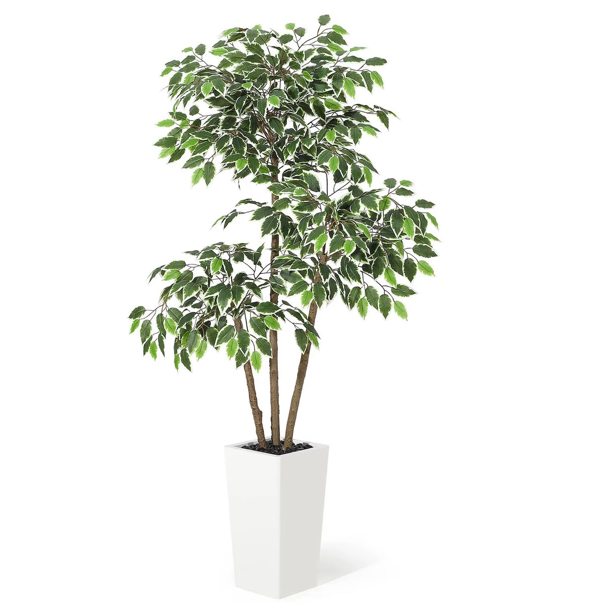 Ficus Altissima Artificiel 150cm