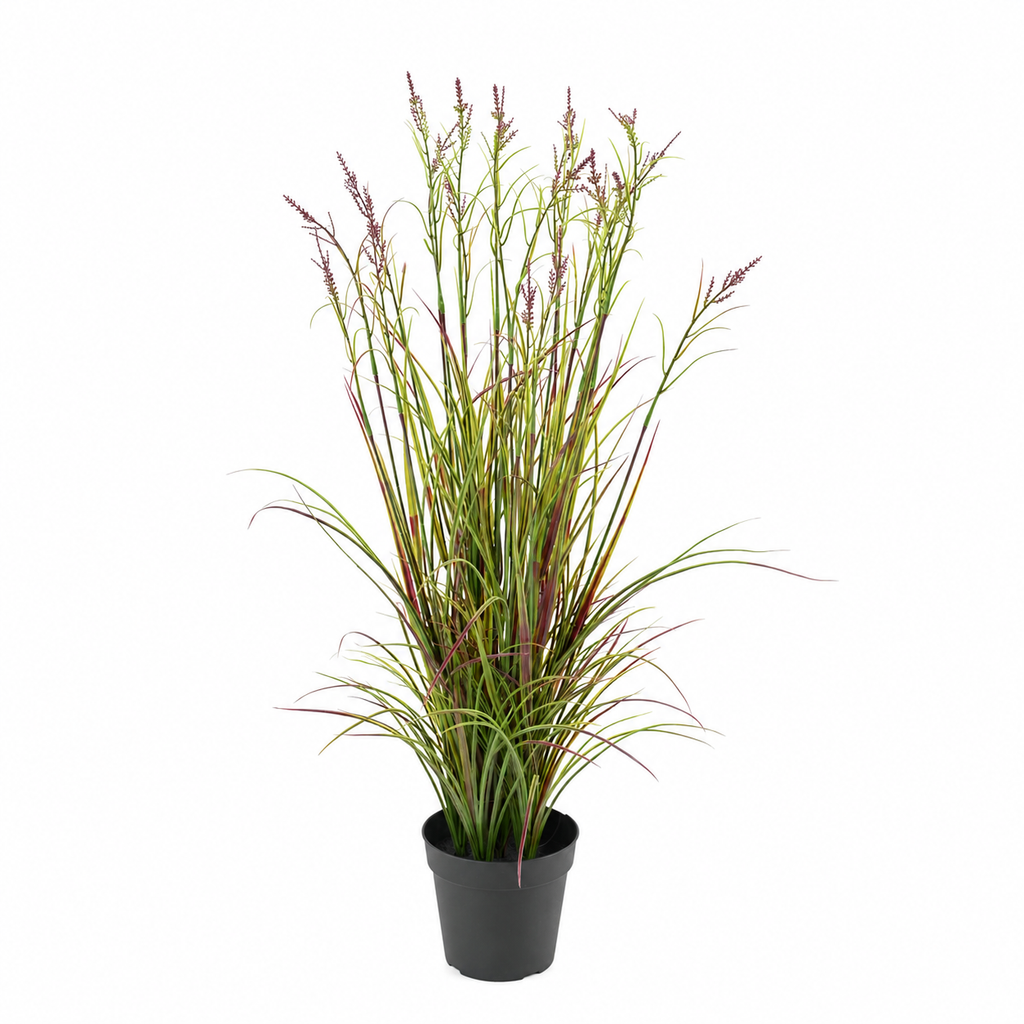 Plante Artificiel Acorus 70cm | Anti-uv