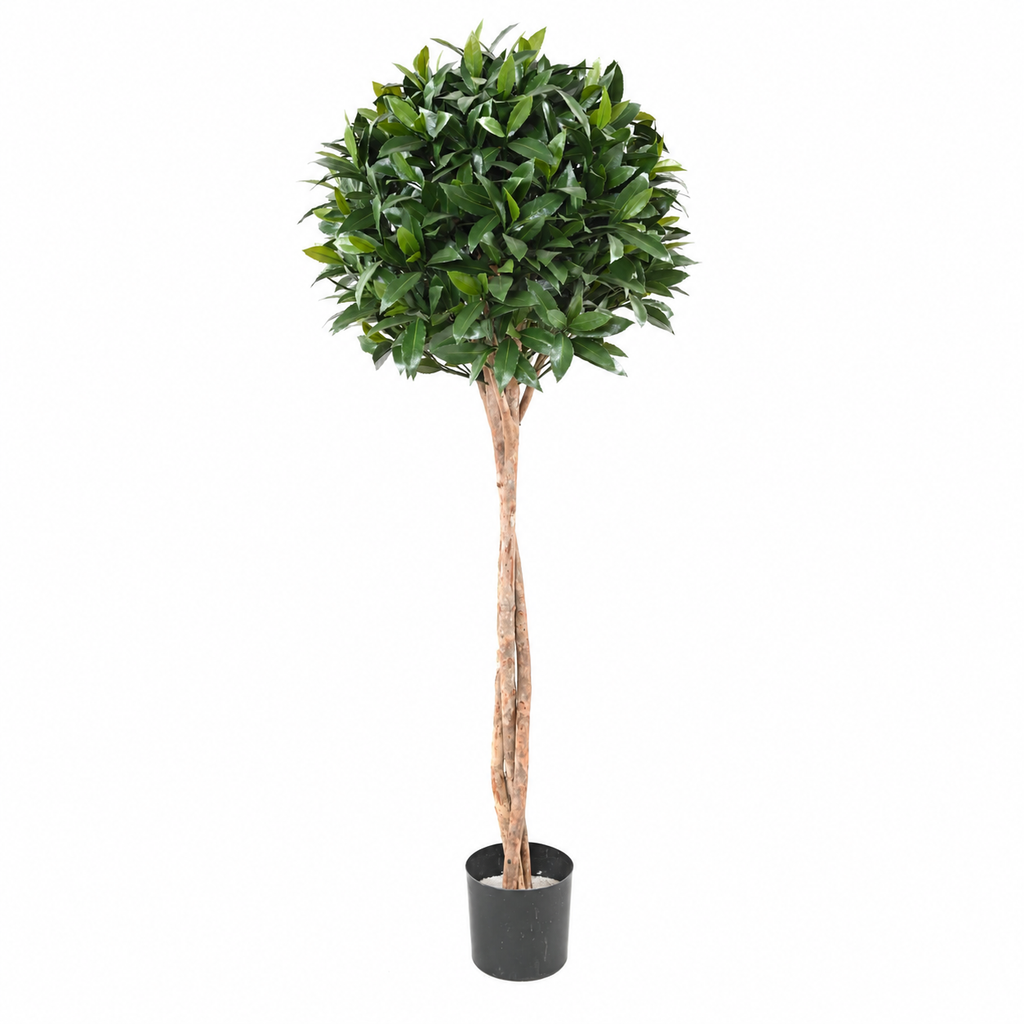 Laurier Nobilis Artificiel Boule sur Tige Anti-UV 145 cm | Belle Verdure