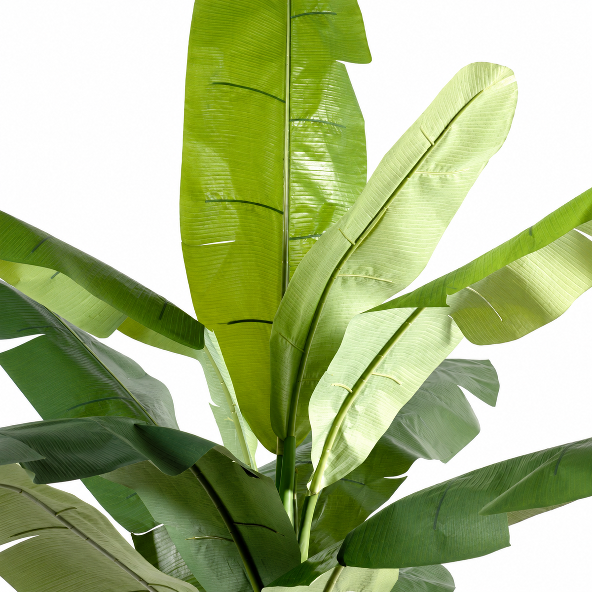 Bananier Artificiel Tropical 140 cm | Belle Verdure