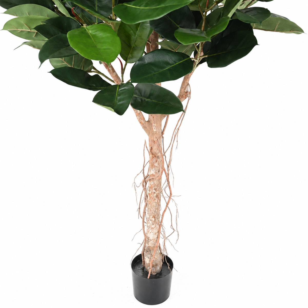 Ficus Artificiel Elastica Tête 160 cm | Belle Verdure