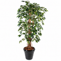 Ficus Artificiel Lianes Vert 150 cm | Belle Verdure