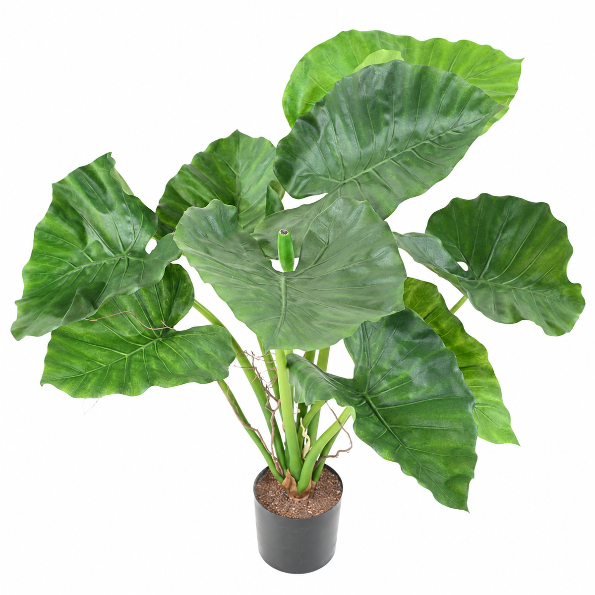 Alocasia Calidora Artificiel 65 cm | Belle Verdure