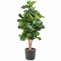 Ficus Artificiel Lyrata 180 cm | Belle Verdure
