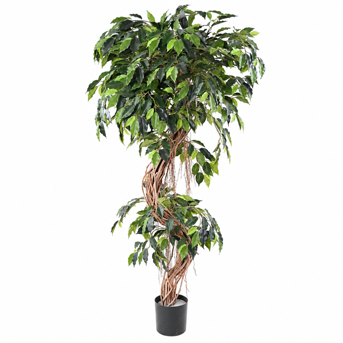 Ficus Artificiel Signature 180 cm | Belle Verdure