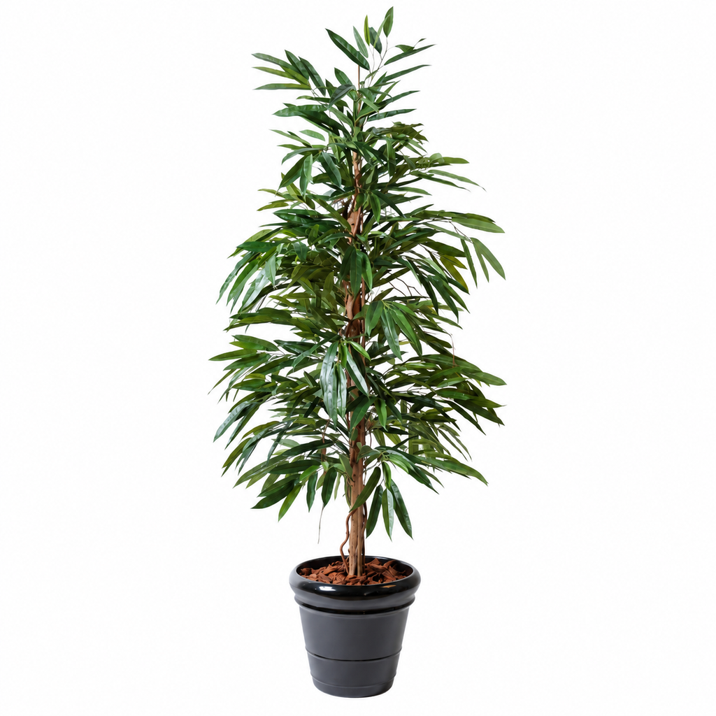 Ficus Artificiel Alii Bush Royal 190 cm | Belle Verdure