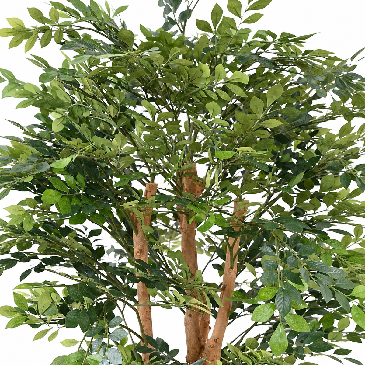 Acacia Artificiel Signature 200 cm | Belle Verdure