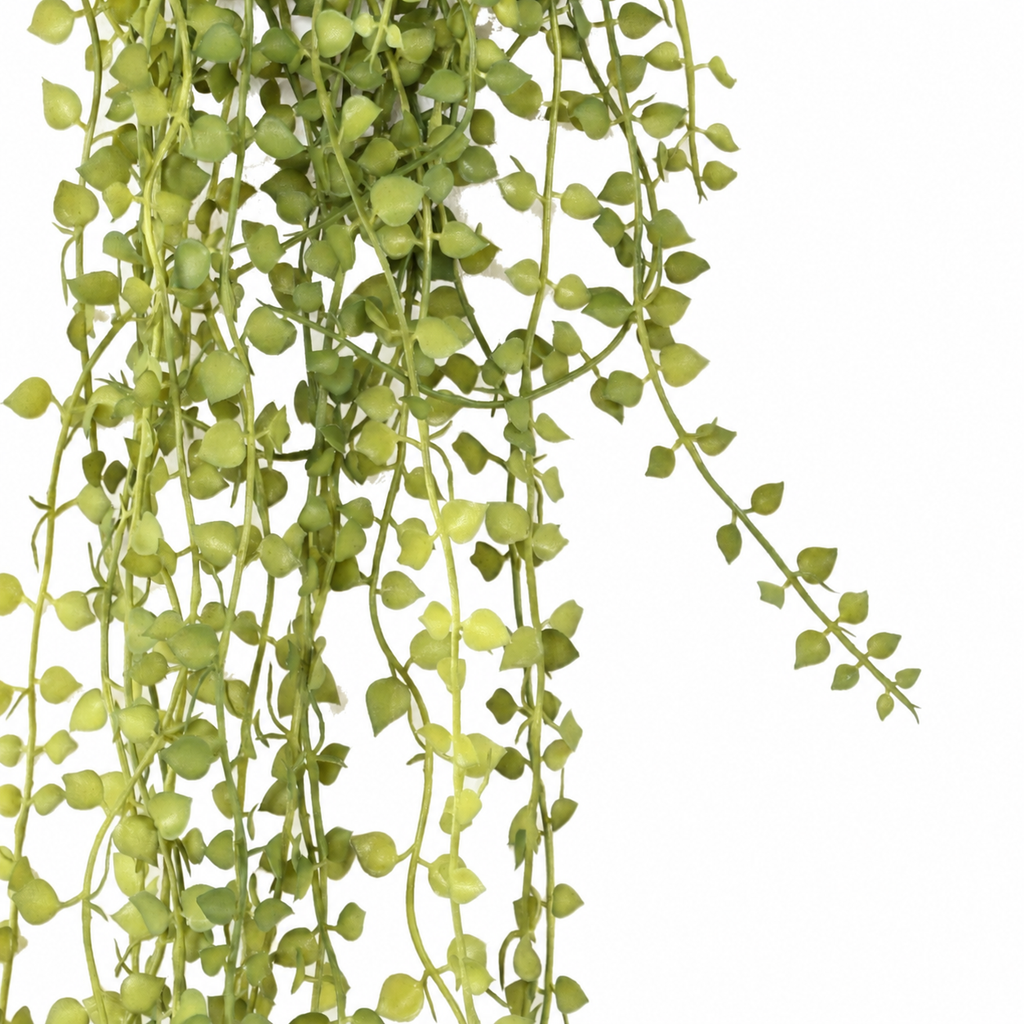 Callisia Artificielle Retombante 55 cm | Belle Verdure