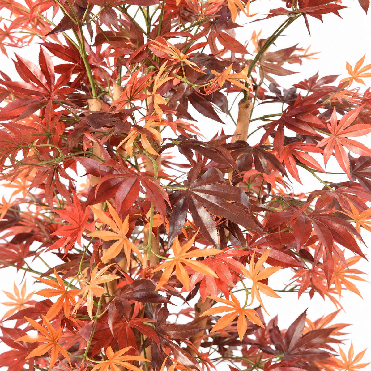 Aralia Artificiel Élégance Automne 150 cm | Belle Verdure