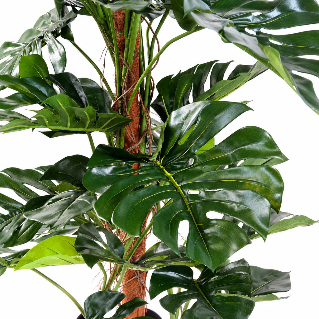 Philodendron Monstera Artificiel 160 cm | Belle Verdure