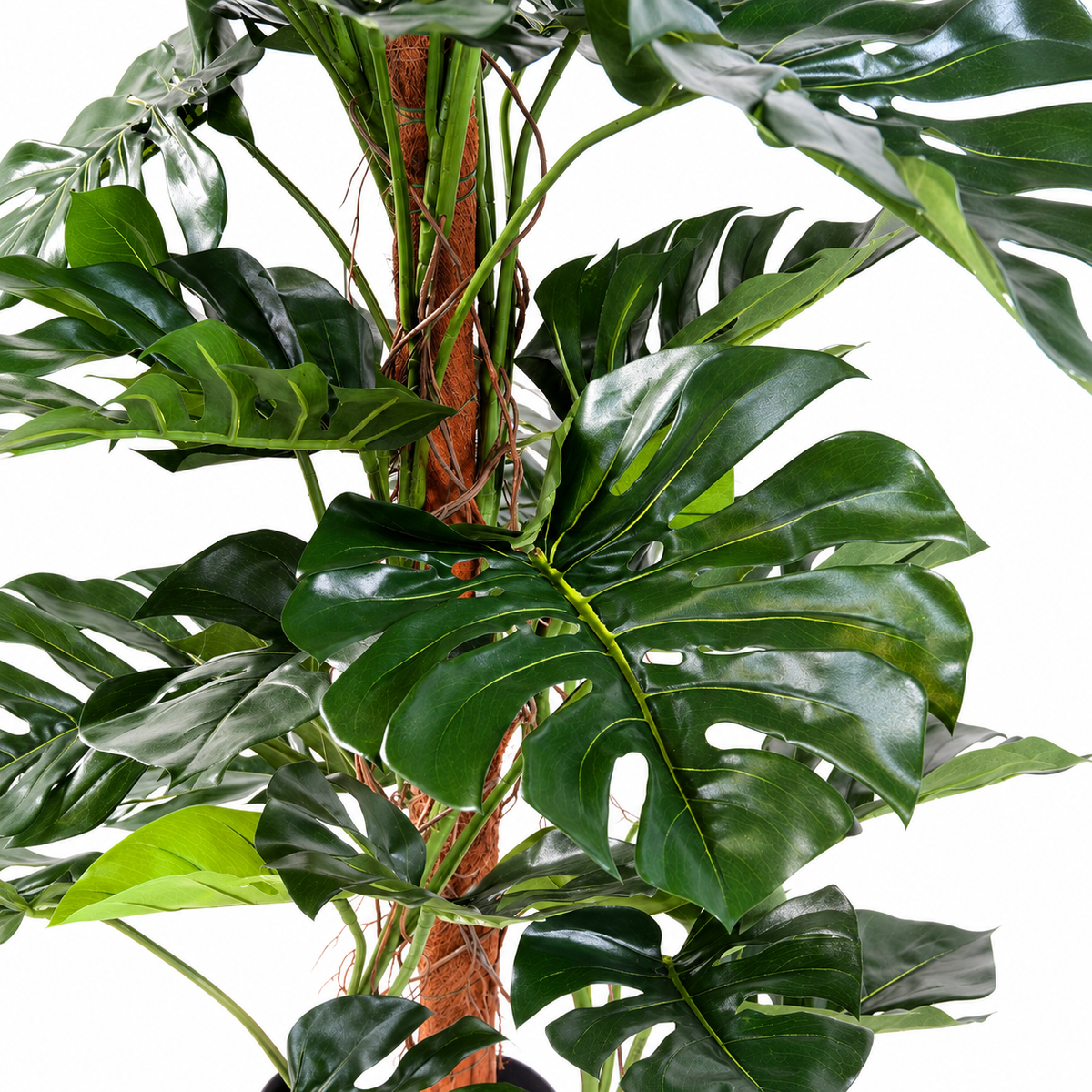Philodendron Monstera Artificiel 160 cm | Belle Verdure