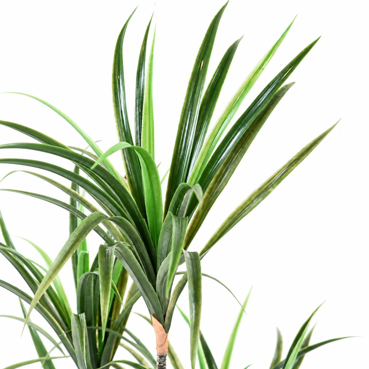 Dracaena Marginata Artificiel 125 cm | Belle Verdure