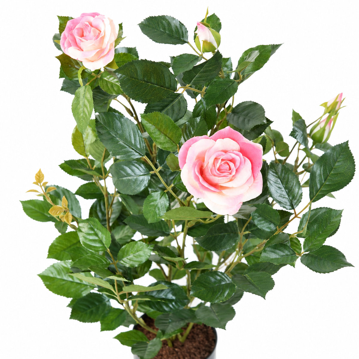 Rosier Artificiel Royal Rose 60 cm | Belle Verdure