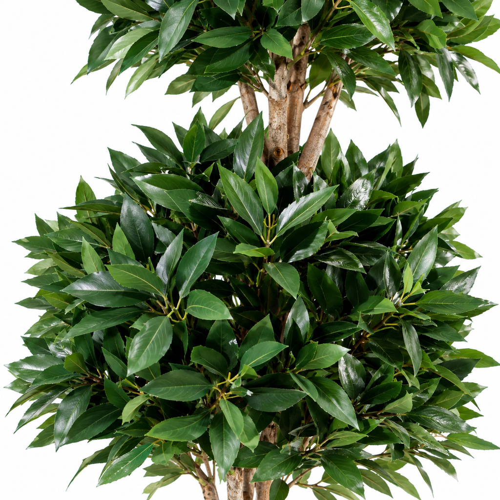 Laurier Artificiel Prestige 165 cm | Belle Verdure