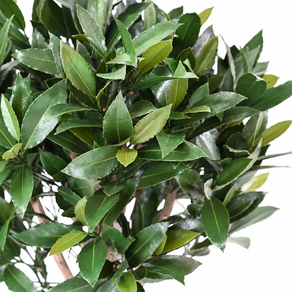Laurier Nobilis Artificiel Boule sur Tige Anti-UV 130 cm | Belle Verdure
