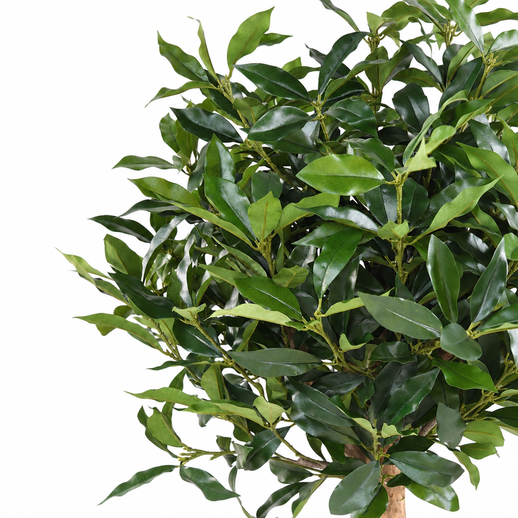Laurier Artificiel Lusitanica sur Tige 140 cm | Belle Verdure