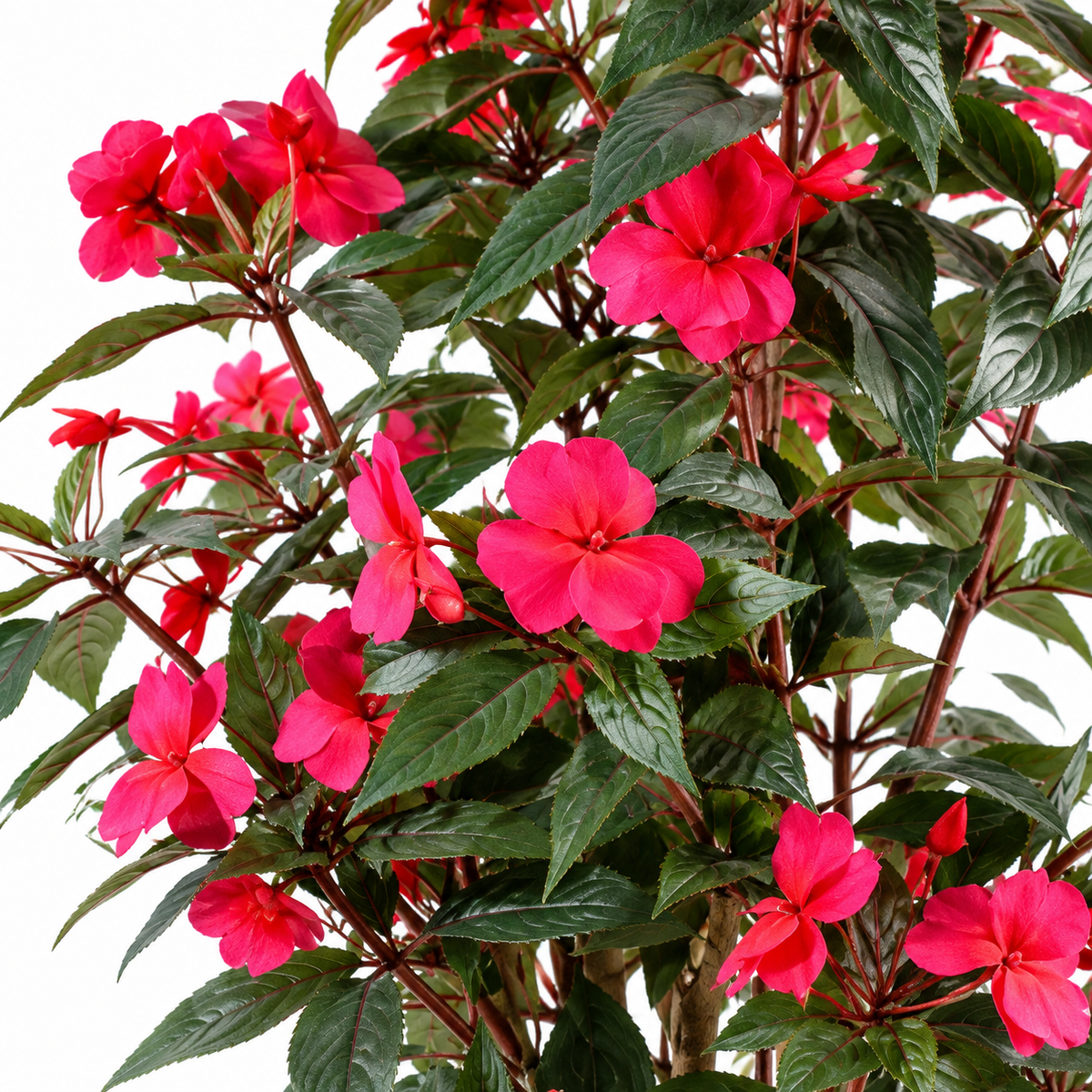 Impatiens Artificiel Fuschia 110 cm | Belle Verdure