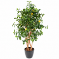 Citronnier Artificiel 150 cm | Belle Verdure