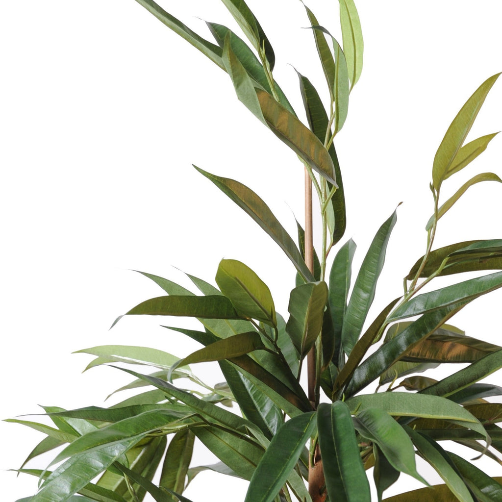 Ficus Artificiel Alii Bush Royal 190 cm | Belle Verdure