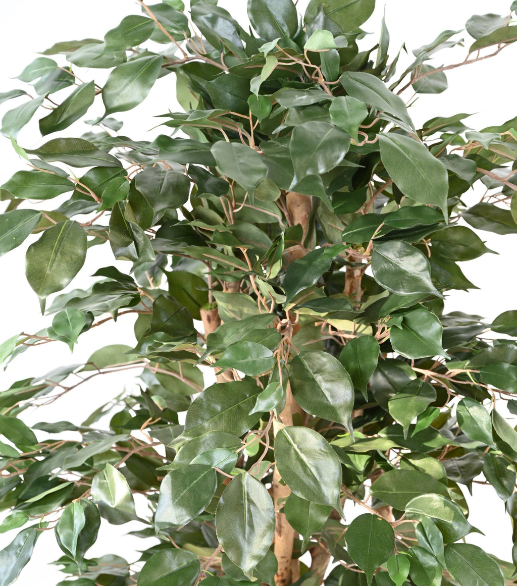 Ficus Artificiel Benjamina 150 cm | Belle Verdure