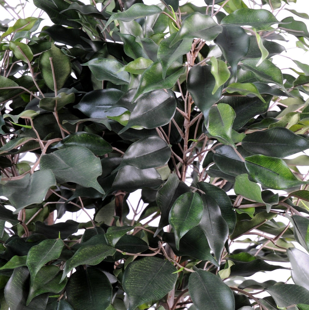 Ficus Artificiel Exotica Buisson 80 cm | Belle Verdure