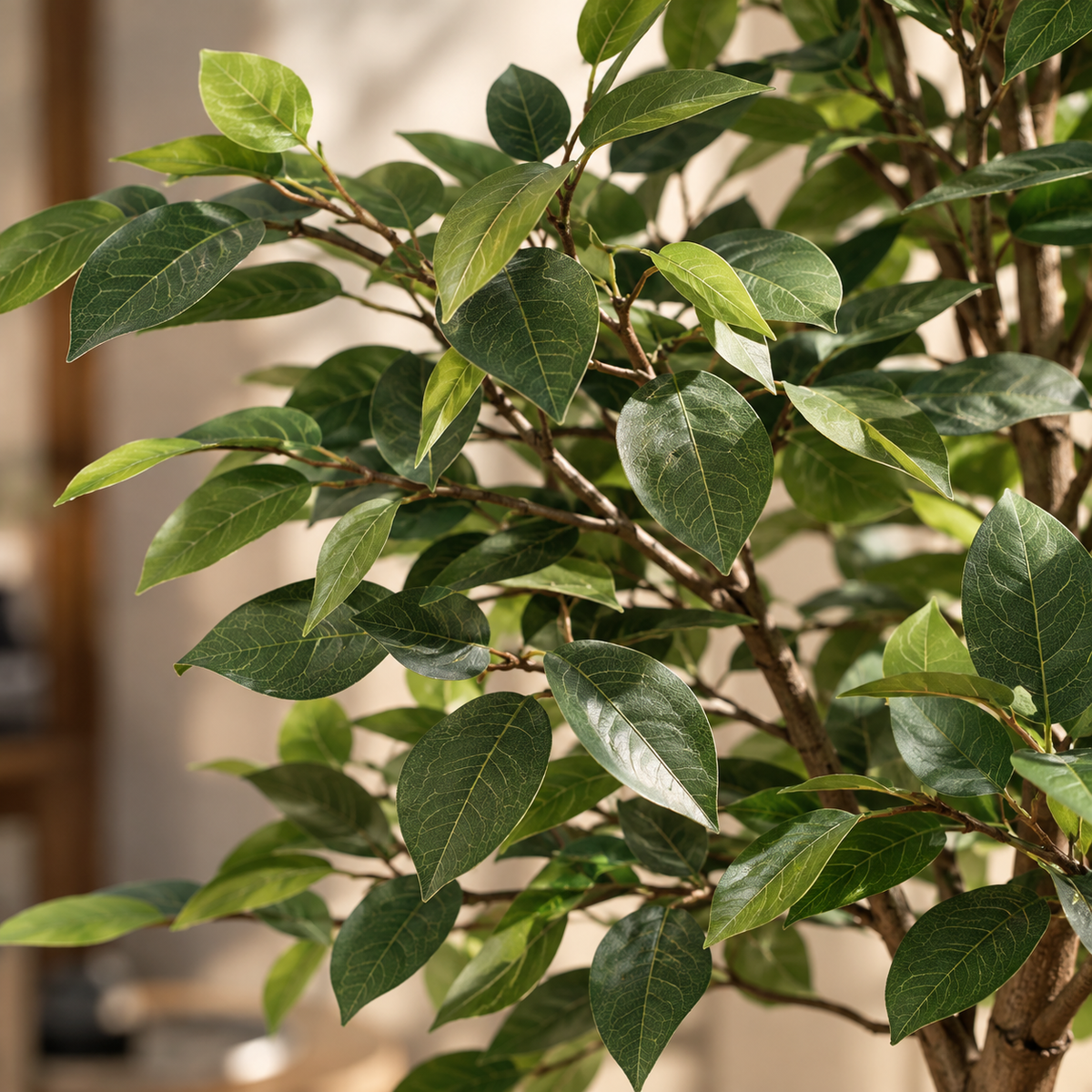 Plante Artificiel Ficus Crazy 150cm