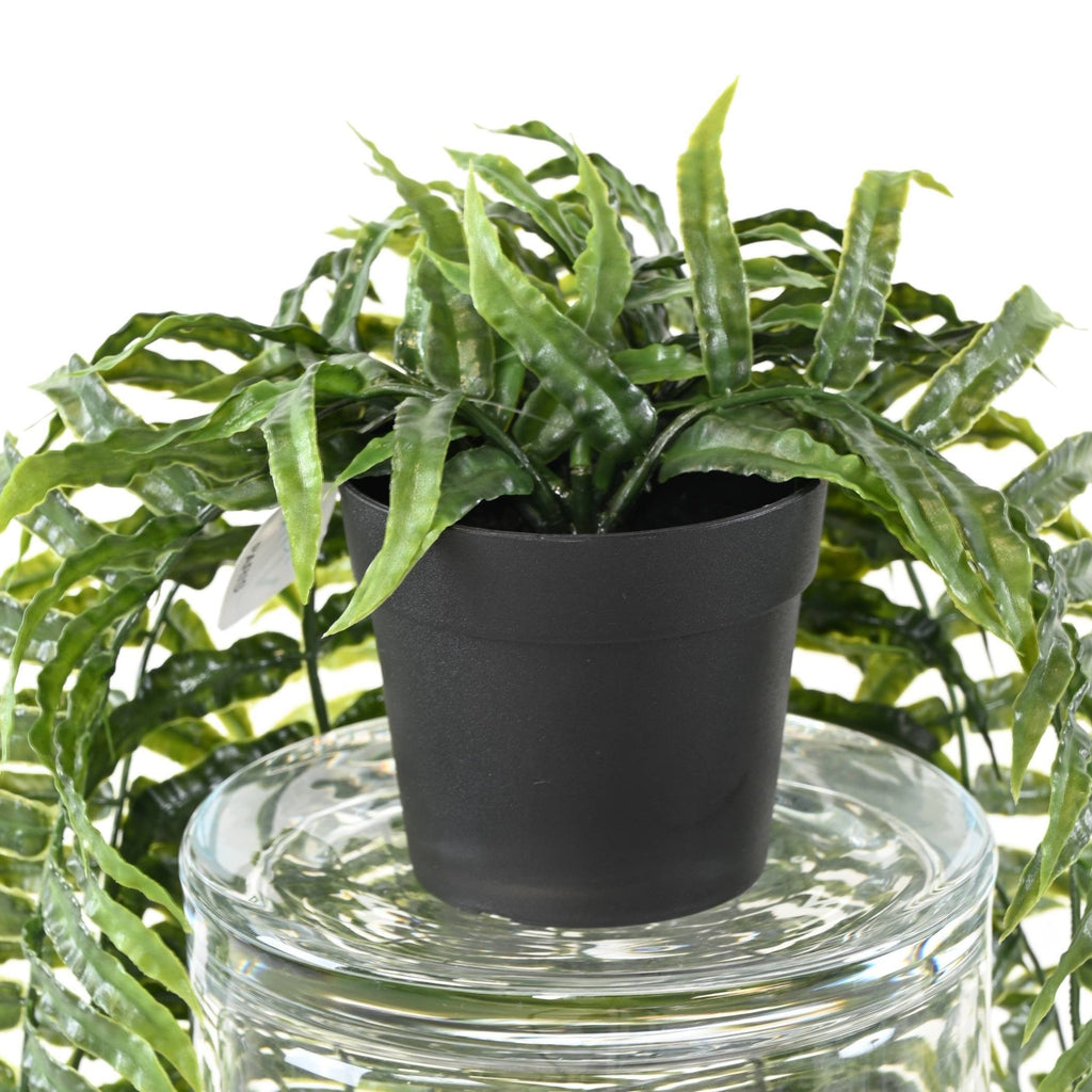 Fougère Dicksonia Artificielle Retombante Anti-UV en Pot 75 cm | Belle Verdure