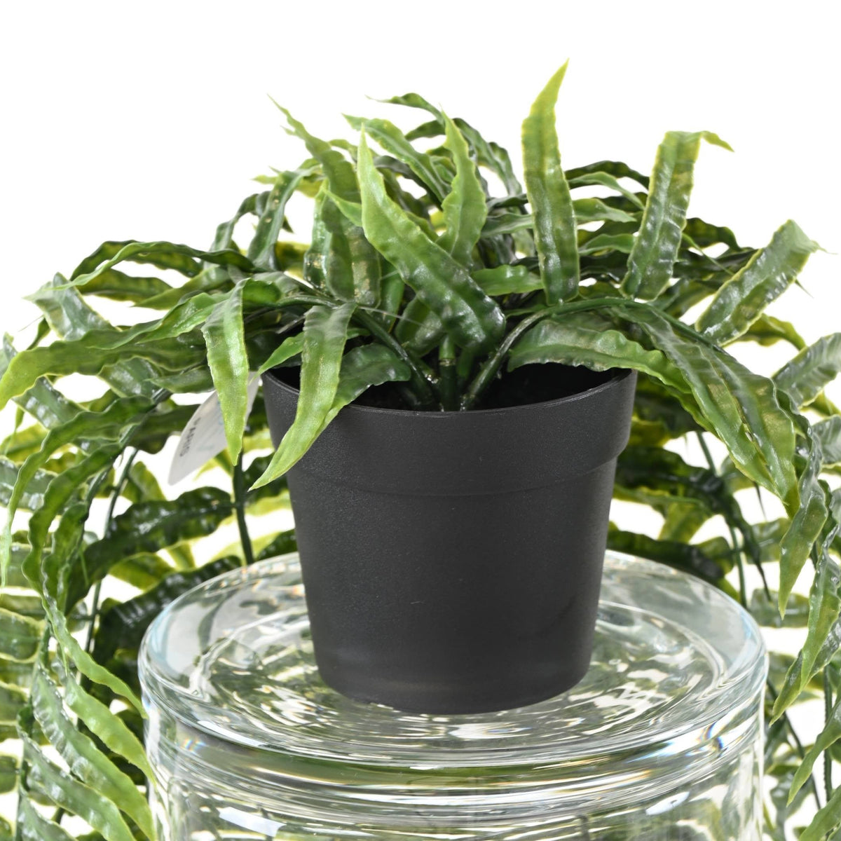 Fougère Dicksonia Artificielle Retombante Anti-UV en Pot 75 cm | Belle Verdure