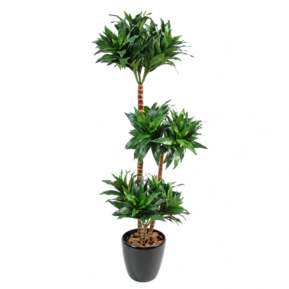 Dracaena Fragrans Artificiel 120 cm | Belle Verdure