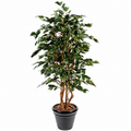 Ficus Artificiel Exotica 180 cm | Belle Verdure
