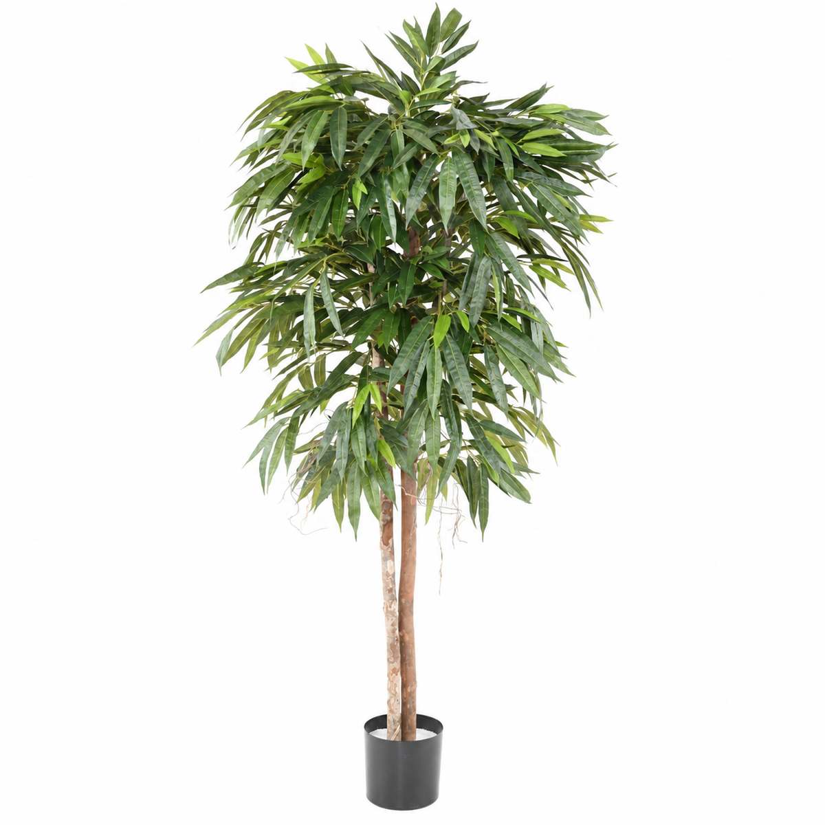 Ficus Artificiel Longifolia 180 cm | Belle Verdure