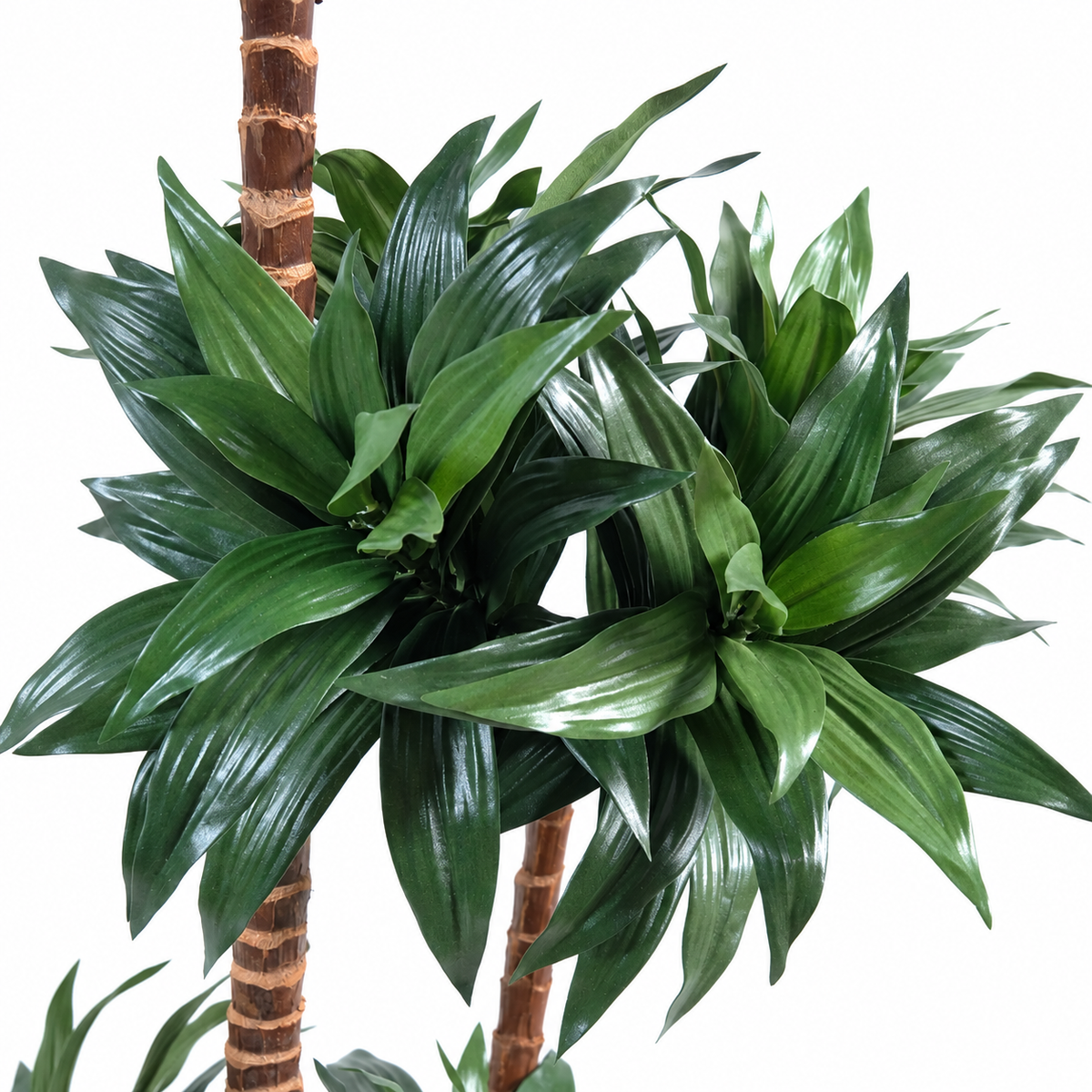 Dracaena Fragrans Artificiel 90 cm | Belle Verdure