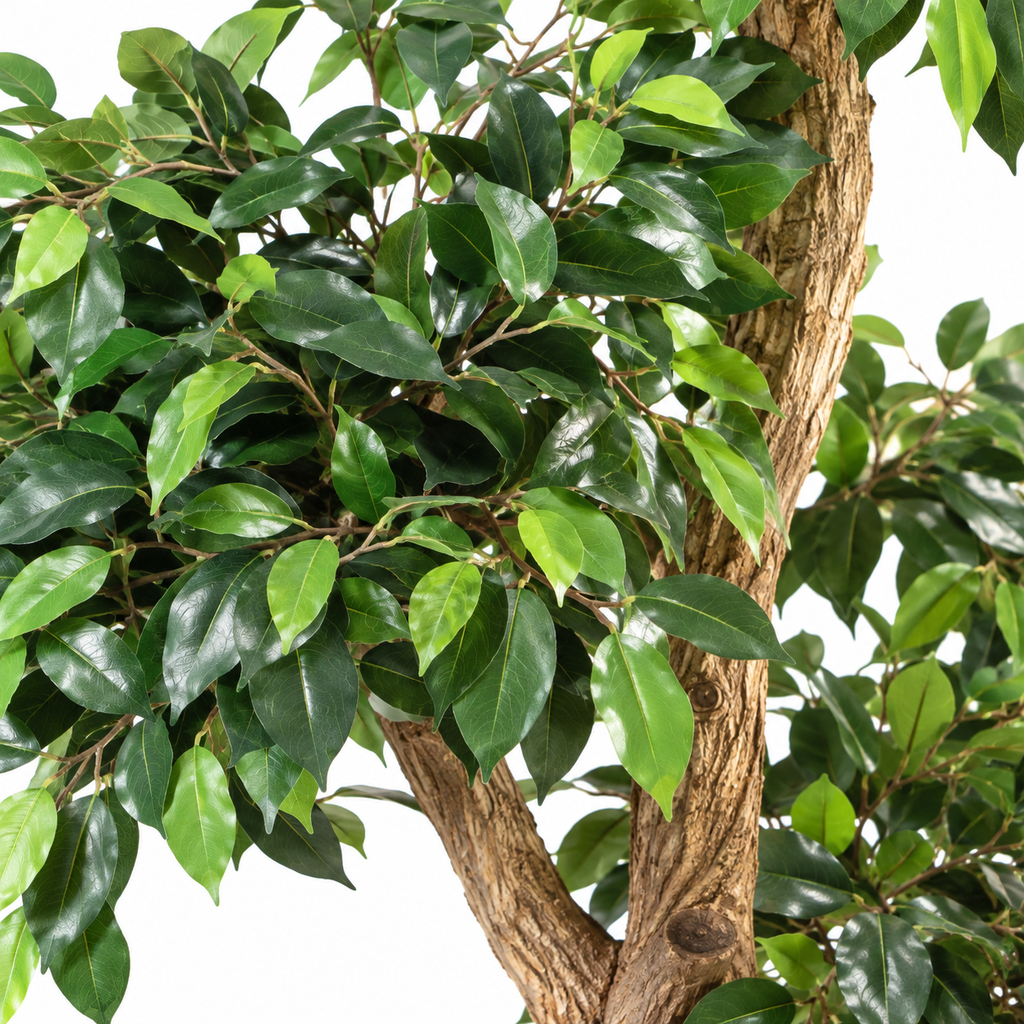 Ficus Artificiel Retusa Crazy 150 cm | Belle Verdure