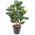 Ficus Artificiel Lyrata Prestige 90 cm | Belle Verdure