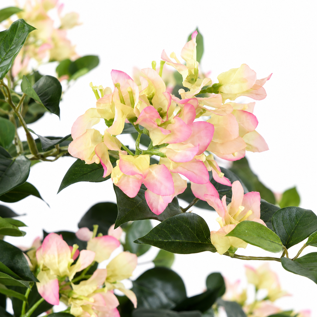 Bougainvillier Artificiel Lianes Blanc et Rose 150 cm | Belle Verdure