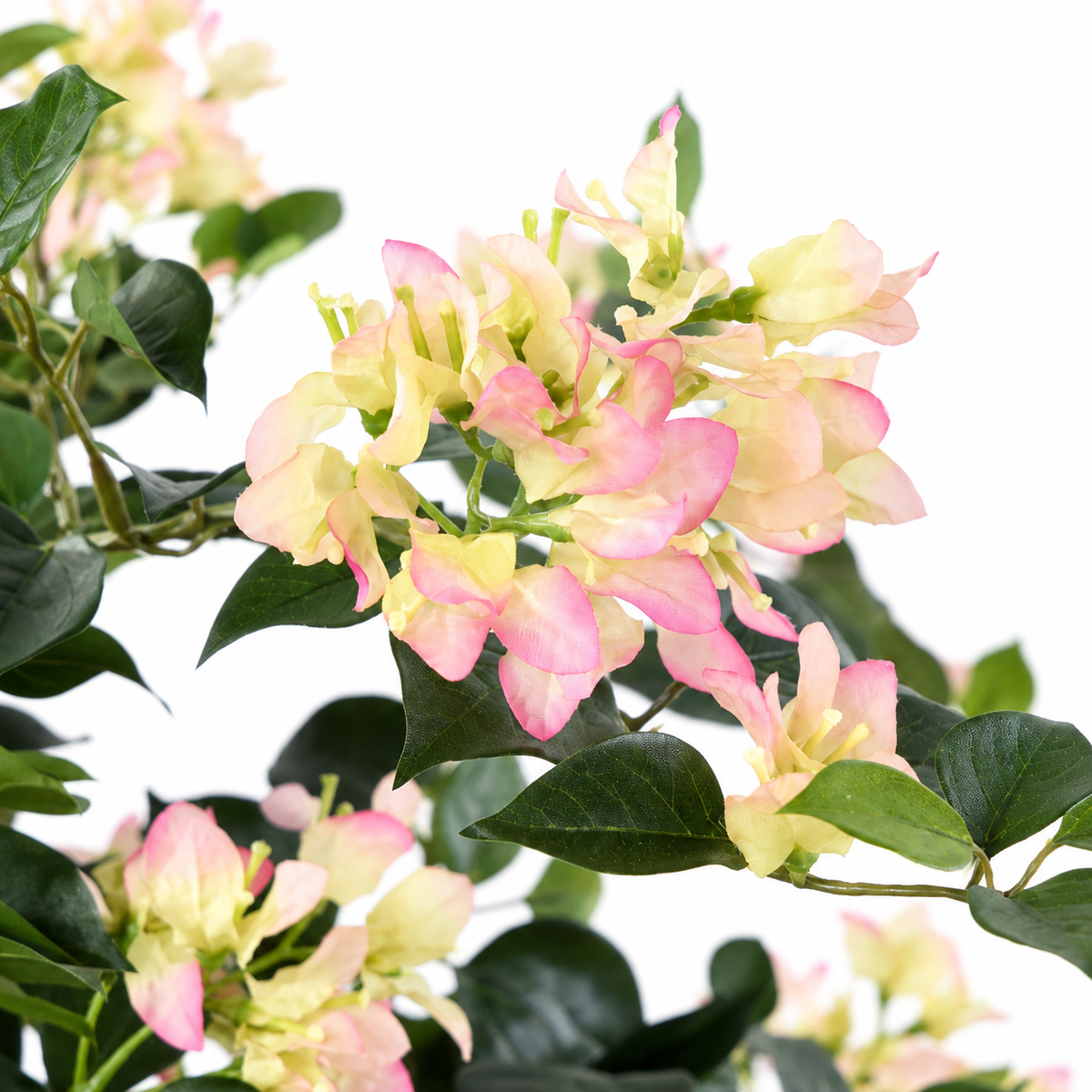 Bougainvillier Artificiel Lianes Blanc et Rose 150 cm | Belle Verdure