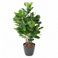 Ficus Artificiel Lyrata Buisson 105 cm | Belle Verdure