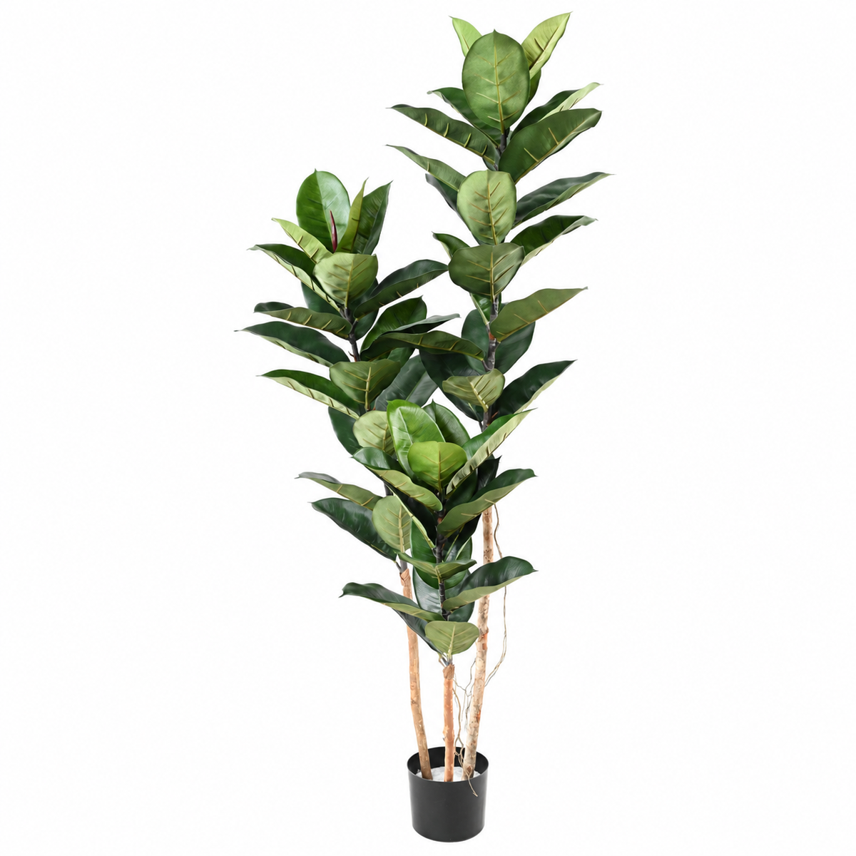 Ficus Artificiel Majesté 170 cm | Belle Verdure