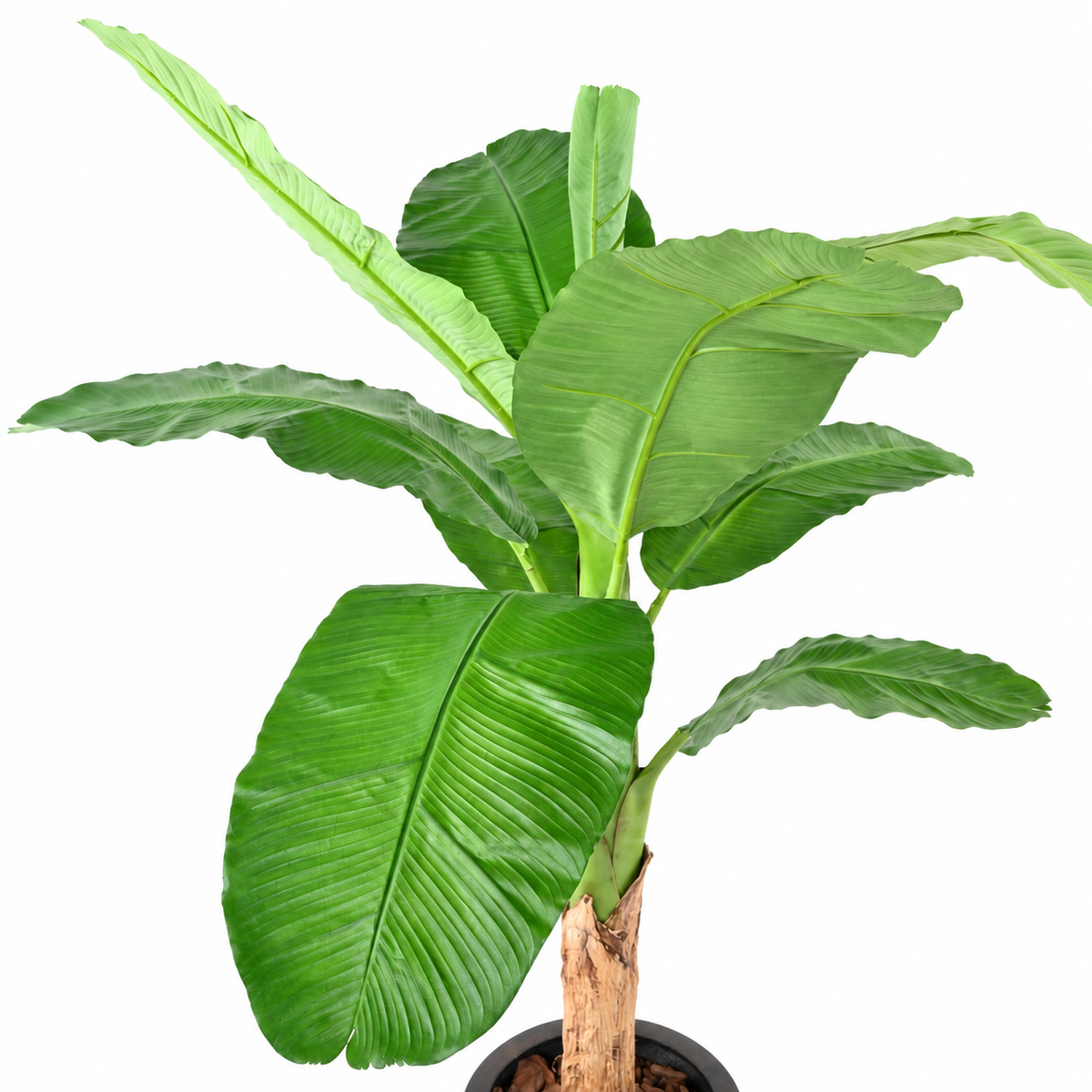 Bananier Artificiel Royal 170 cm | Belle Verdure
