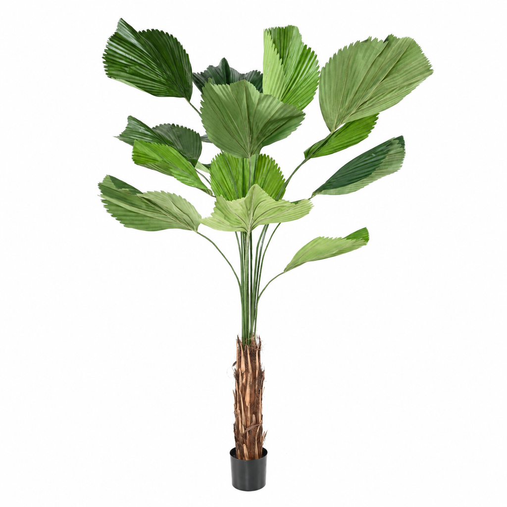 Licuala Grandis Artificiel 205 cm | Belle Verdure