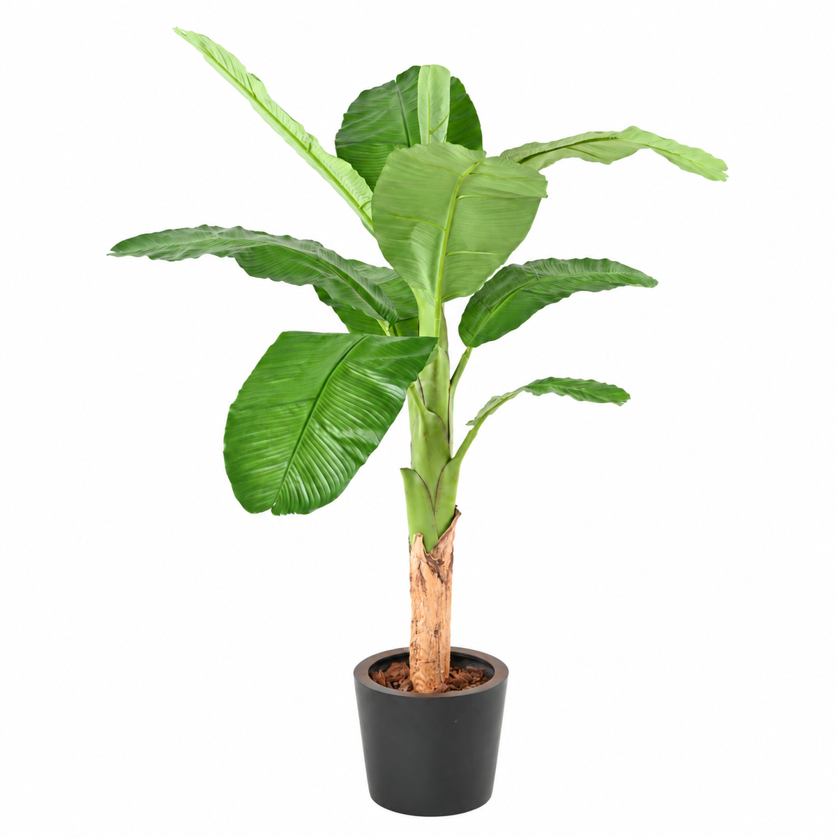 Bananier Artificiel Royal 170 cm | Belle Verdure
