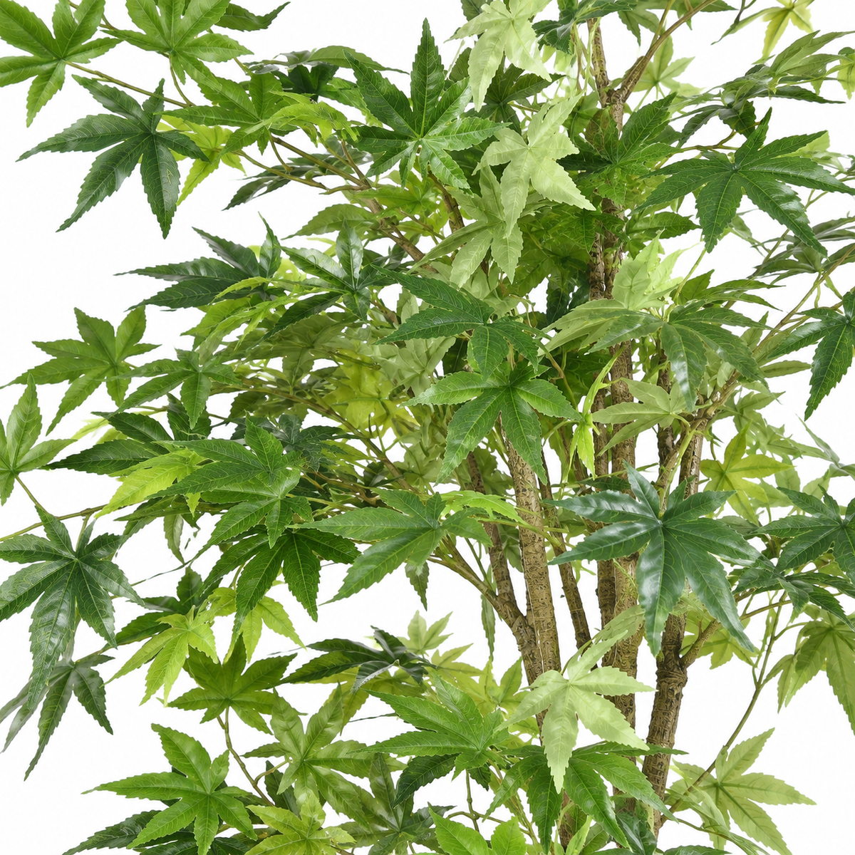 Aralia Artificiel Signature Vert 150 cm | Belle Verdure