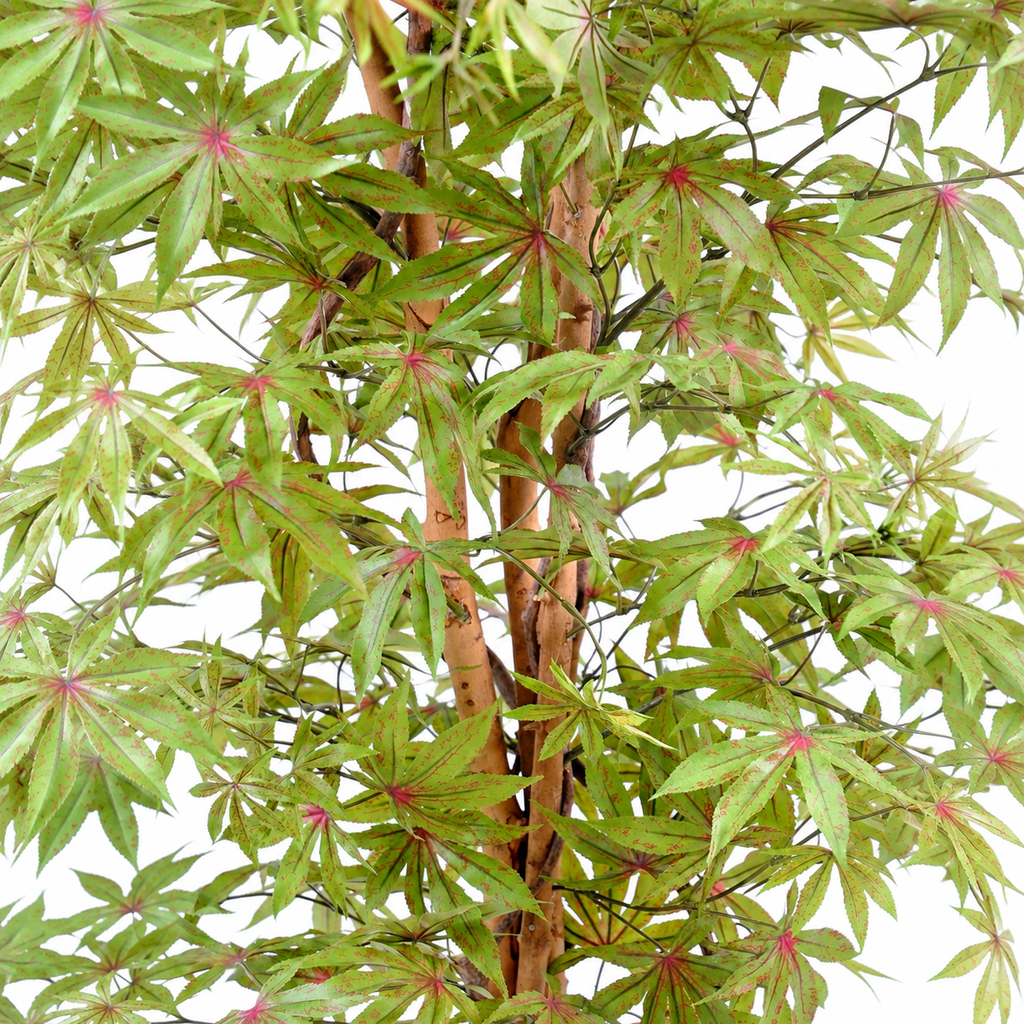 Aralia Artificiel Zen 150 cm | Belle Verdure