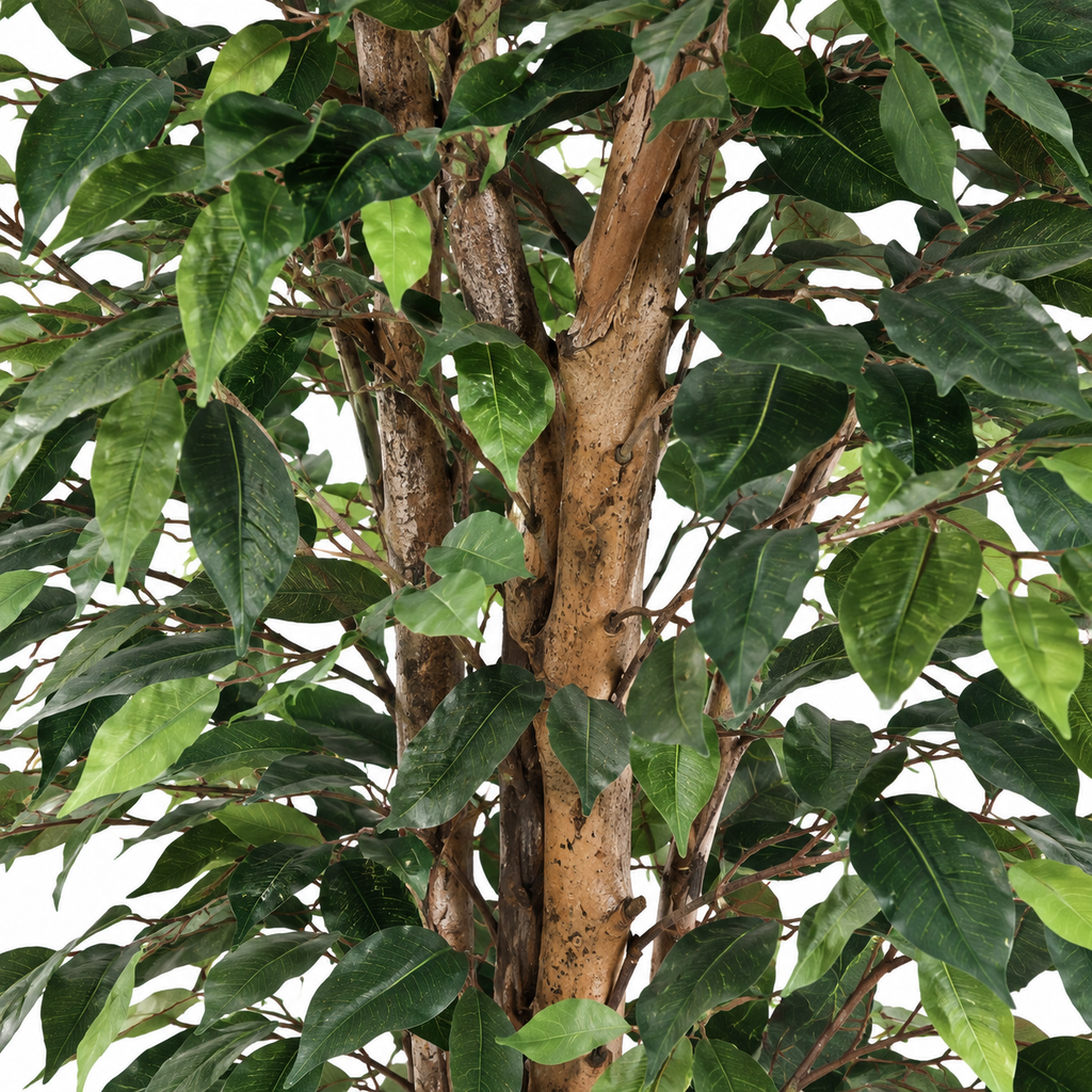 Ficus Artificiel Multitroncs 190 cm | Belle Verdure